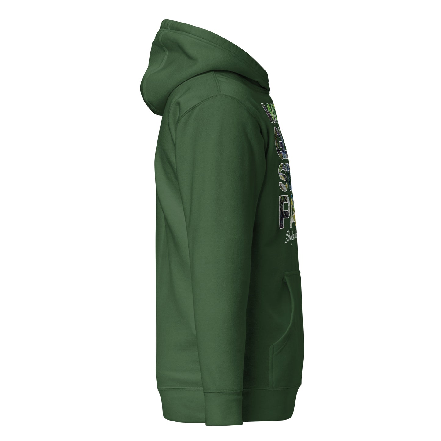 Watkins Glen State Park, New York - Unisex Hoodie