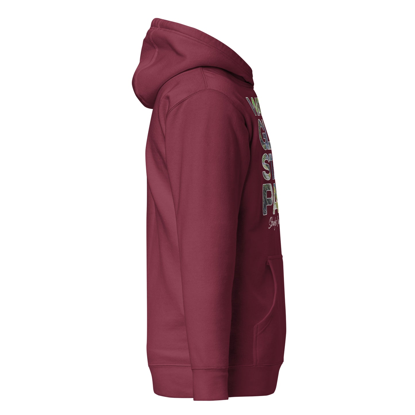 Watkins Glen State Park, New York - Unisex Hoodie